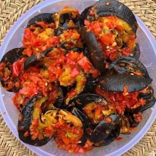 Peppered Snail