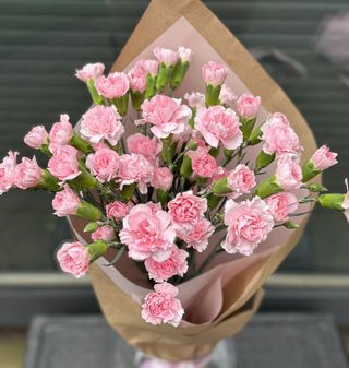 Goździki gałązkowe, 25 sztuk (białe/różowe/mix)