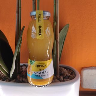 Succo ANANAS 0,2l
