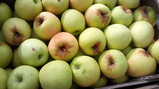 Manzana Golden ecológica