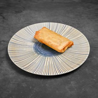 12A. Rollo primavera vegetal