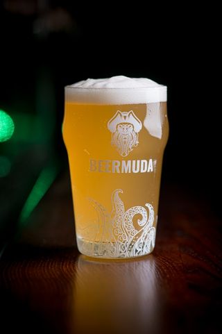 Пиво Hoppy Blum 1 л