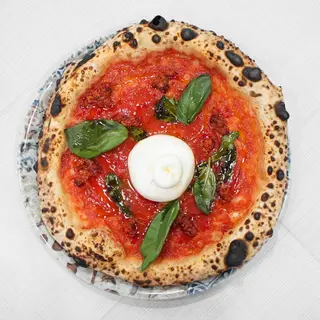 Calabrisella