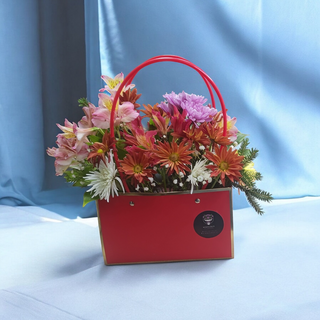 სასკოლო ჩანთა