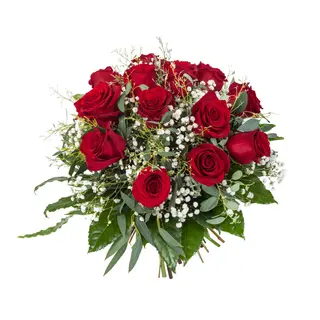 DOCE ROSAS ROJAS