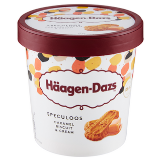 HAAGEN-DAZS CARAMEL BISCUIT & CREAM 460ML