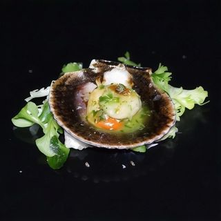 41. Viera A La Plancha (2 Uds.)