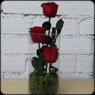 Jarrón con 3 rosas preservadas