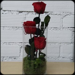 Jarrón con 3 rosas preservadas