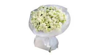White garden