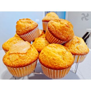 Magdalenas 9 unidades