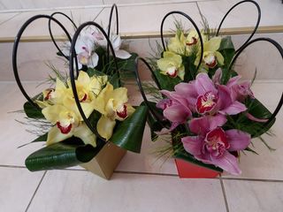 Aranjament floral 5 cupe de orhidee cymbidium