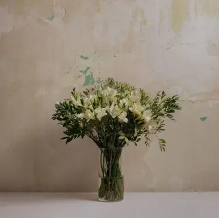 Ramo De Fresias