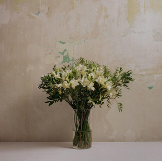 Ramo De Fresias