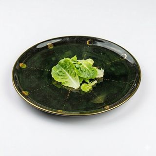 Suplemento Vegetal