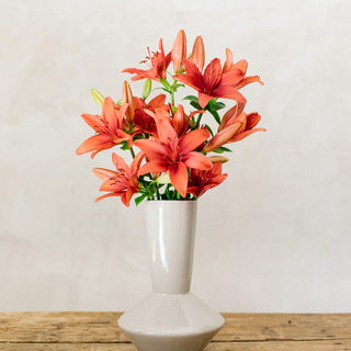 Ramo de Liliums Bourdeos. 6u