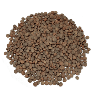 Lenteja Pardina Peso Estimado 500 Gr.