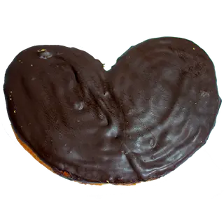 Palmera Choco Negro