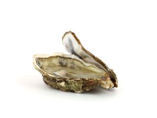 Ostriche francesi - 2 pezzi