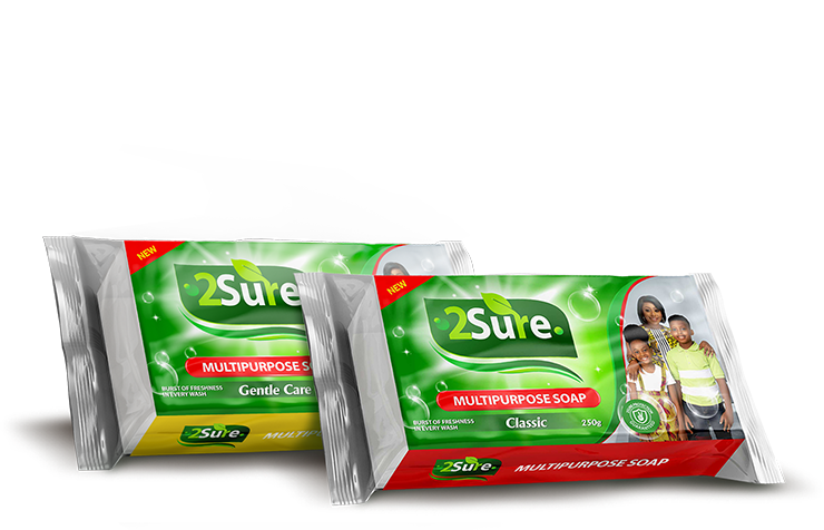 2Sure Multipurpose Soap 250G Classic