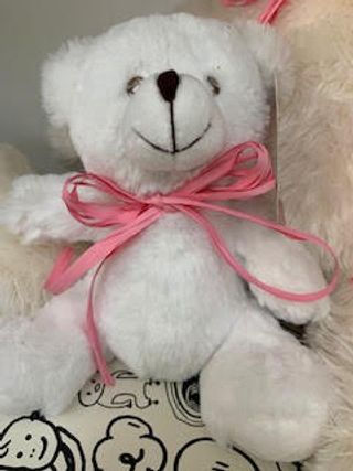 Peluche Pequeño 