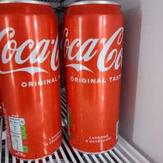 Coca-Cola Lattina 330 ml