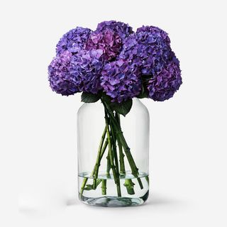 Buchet din 9 hortenzii  