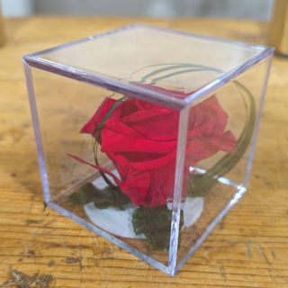 Cubo con rosa ETERNA ROJA