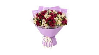 White&red alstroemeria