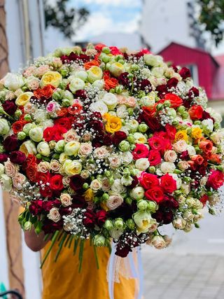 ფერადი ჯუჯა ვარდები