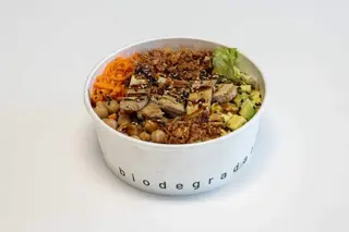 Vegan large