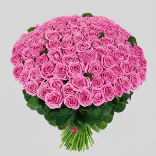 101 рожева троянда