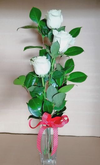 3 Rosas Blancas Para Regalo