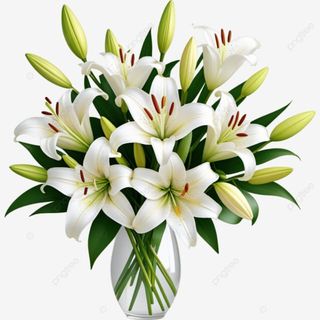 Ramo lilium oriental blanco