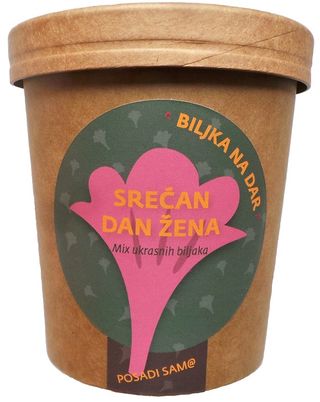 Magični buket cveća  poklon za Dan žena