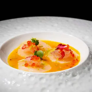 CA6 Carpaccio capesante