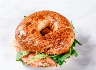 Bagel Losos