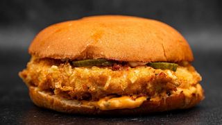 Chicken Burger + pomfrit