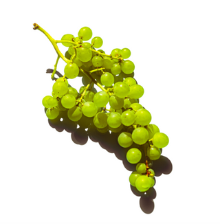 Uva Italiana Blanca Peso Estimado  500 Gr.