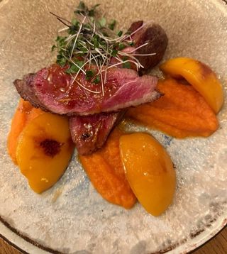 Патешко магре