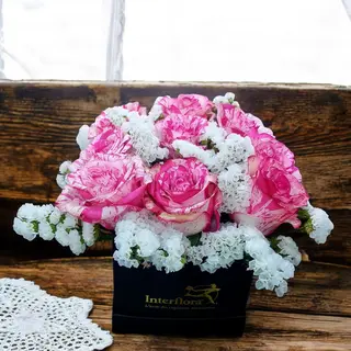 Flower box rose rosa