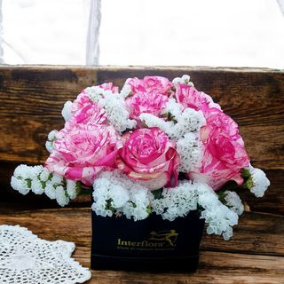 Flower box rose rosa