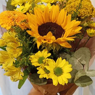 Especial Flores Amarillas