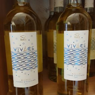 Vino Bianco Frizzante Doc Tre Venti Cantine Birgi