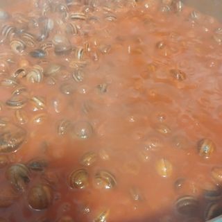 Cabrillas con tomate 1k