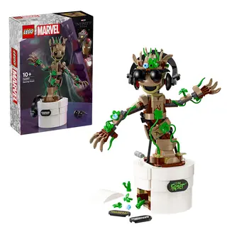 Groot dansator - 76297