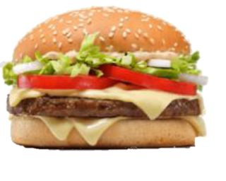 Cheese Burger