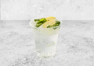 Mint Sparkling Water (M)