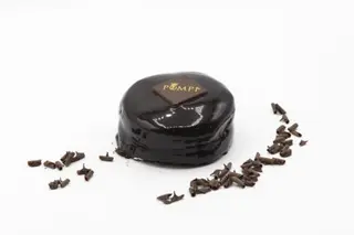 Sacher