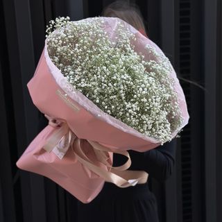 13 гілочок білої гіпсофіли 